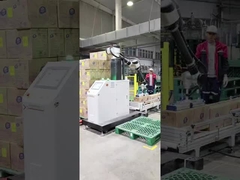 Chinese Industrial Robot Collaborative Palletizing Robot Solution Provider