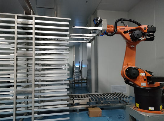 KUKA KR60-3 Palletizing Robot Cell Factory Robotics Six Axis Industrial Robot