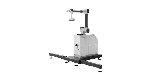 WP-20 Chinese Robot Arm Vacuum Palletizing Camera Vision Inspection System